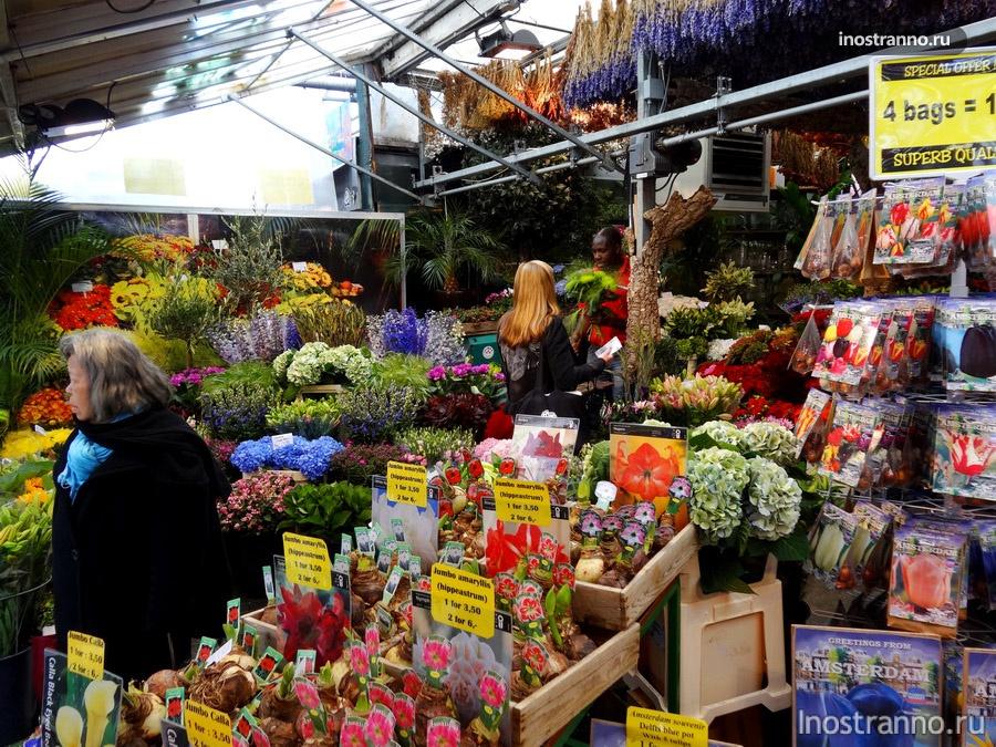 цветочный рынок в Амстердаме