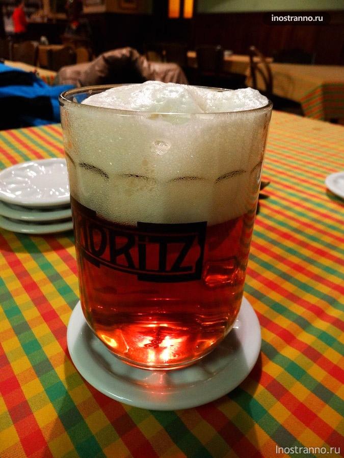чешское пиво