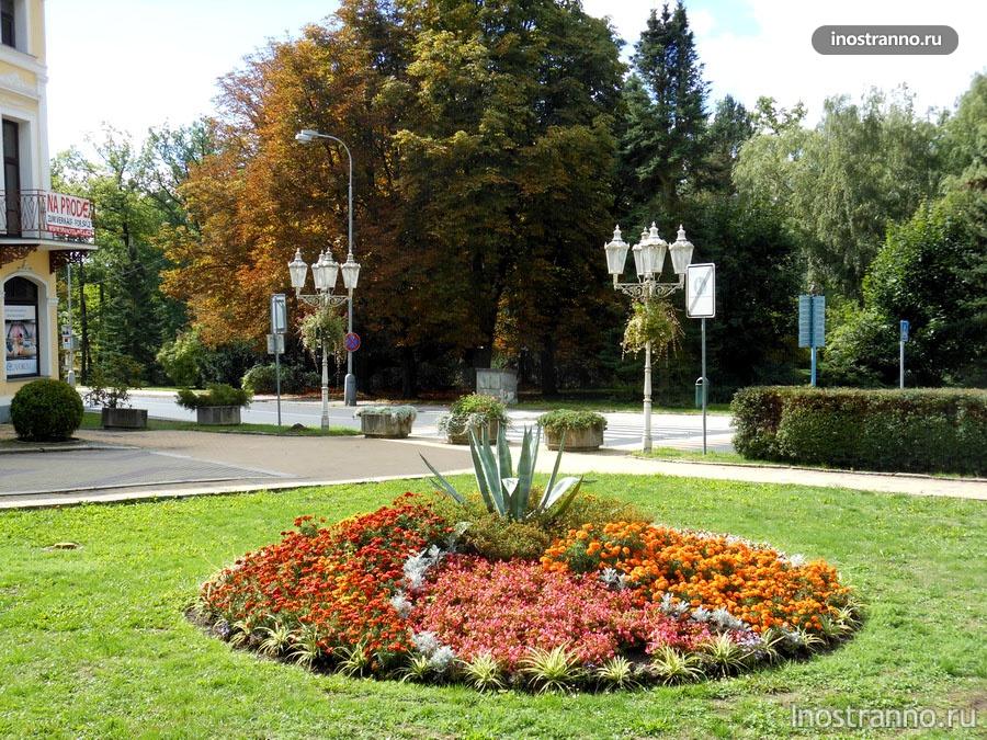 цветы курорт франтишковы лазне