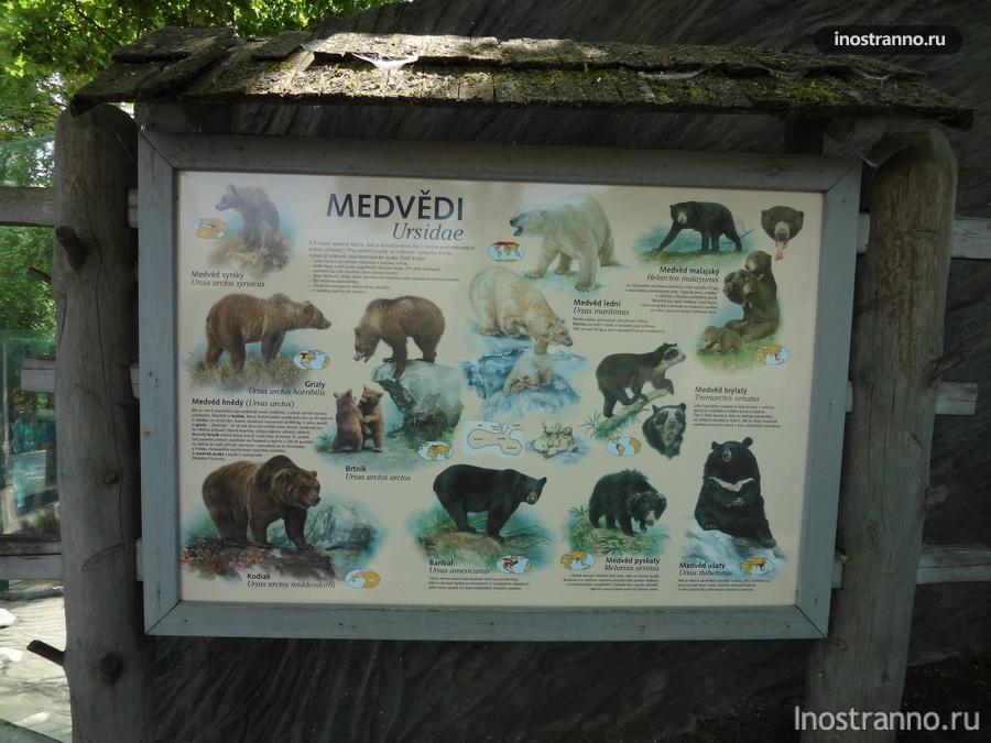 Прага Зоопарк информация о животных