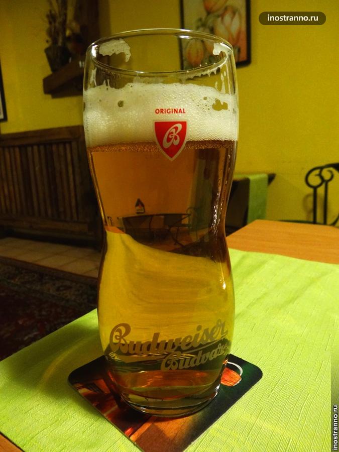 пиво будвайзер в чехии
