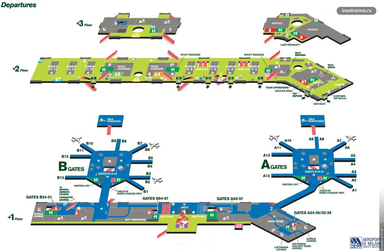 Шереметьево терминал в вылет внутренние рейсы. Аэропорт Мальпенса Милан схема. Аэропорт Милана Мальпенса схема аэропорта. Схема аэропорта Мальпенса 1. Аэропорт Милана Мальпенса терминал 1.