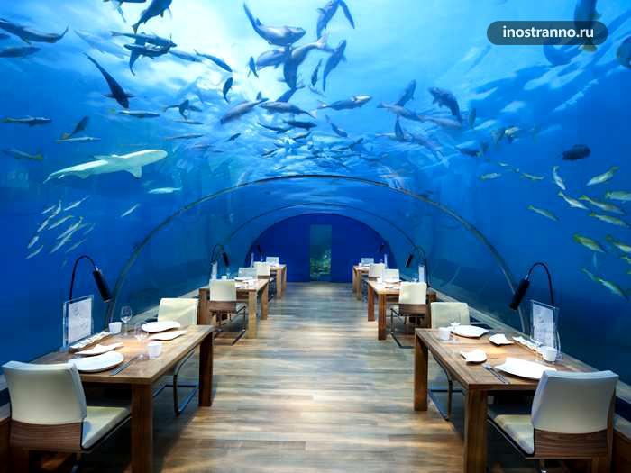 Отель на Мальдивах с подводным рестораном