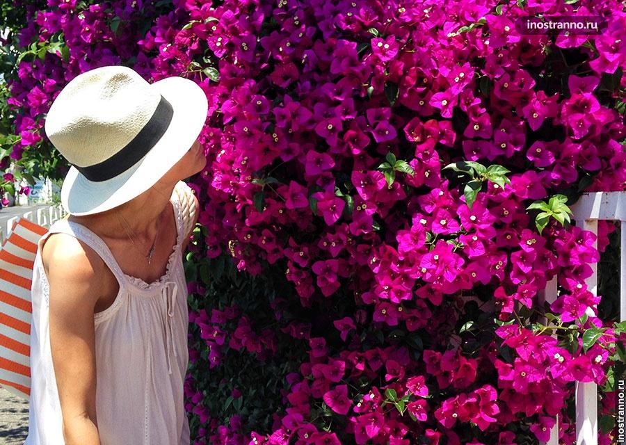 Шляпа панама panama hat