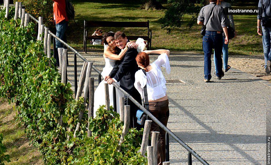 Свадьба в Чехии