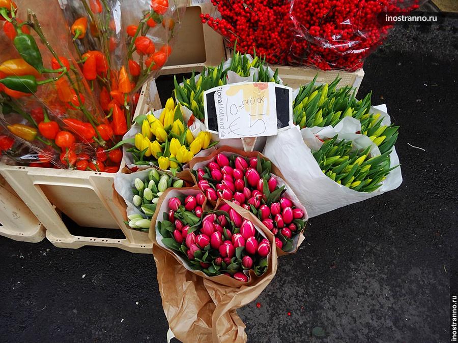 Тюльпаны в Линце