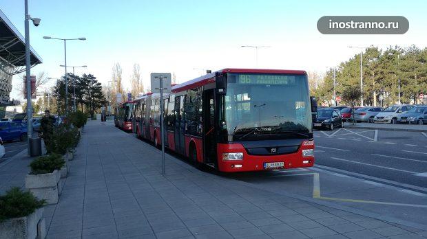 Автобус из аэропорта Братиславы в центр города