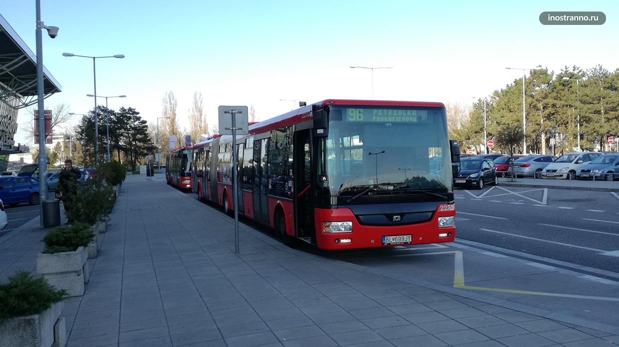 Автобус из аэропорта Братиславы в центр города