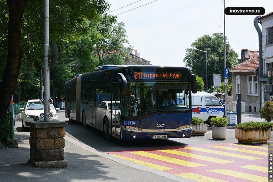 Варна Автобус