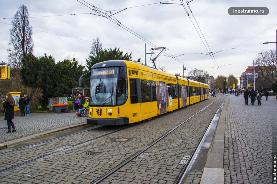 Трамвай Дрездена