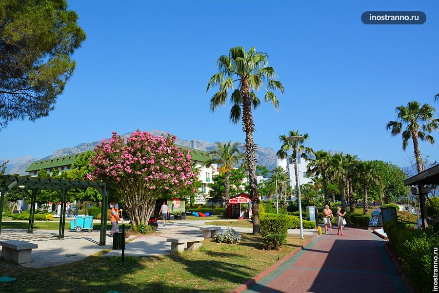 Природа Кемера