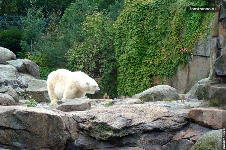 Берлинский зоопарк