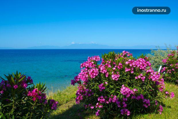 Греция, панорама, море