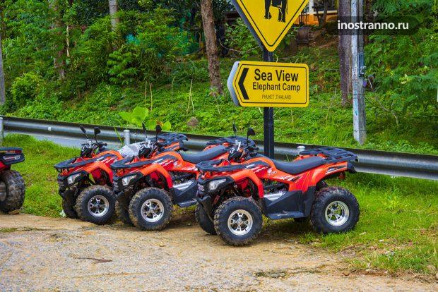 Пхукет поездка на квадроциклах