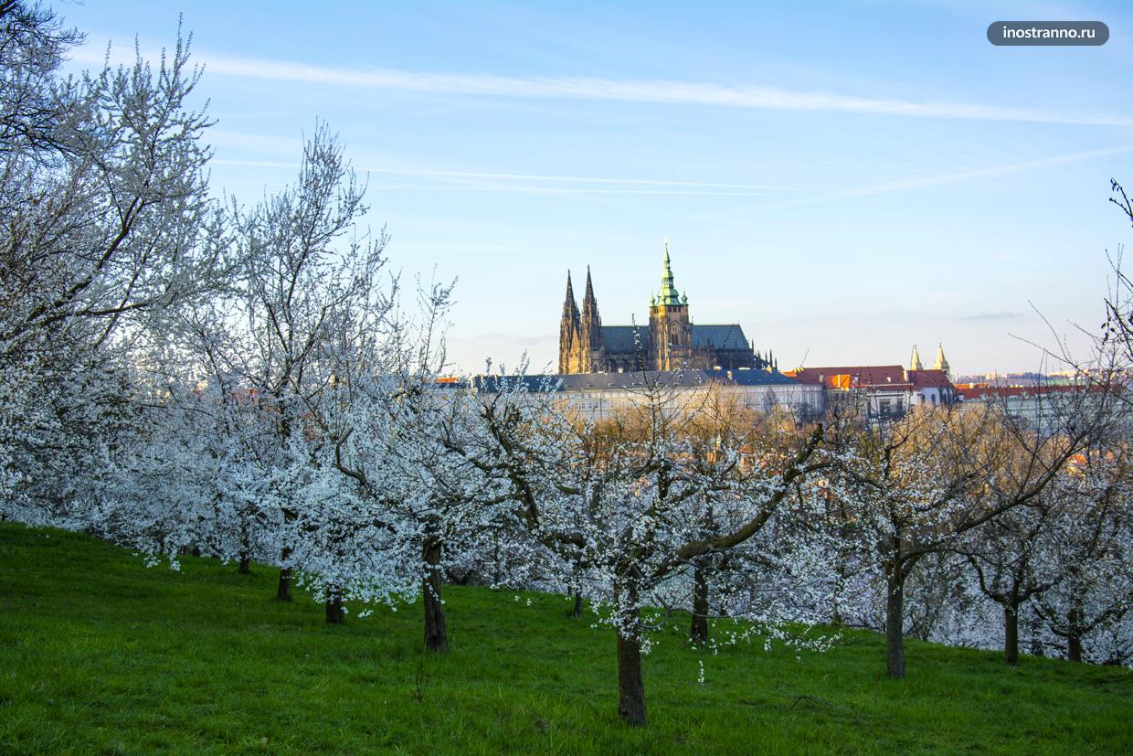 Чехия прага весной