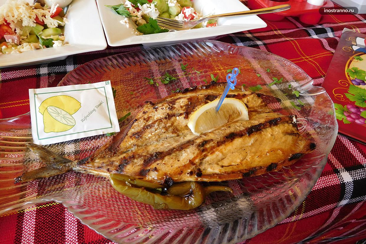 Palamut - CoffeePapa.ru