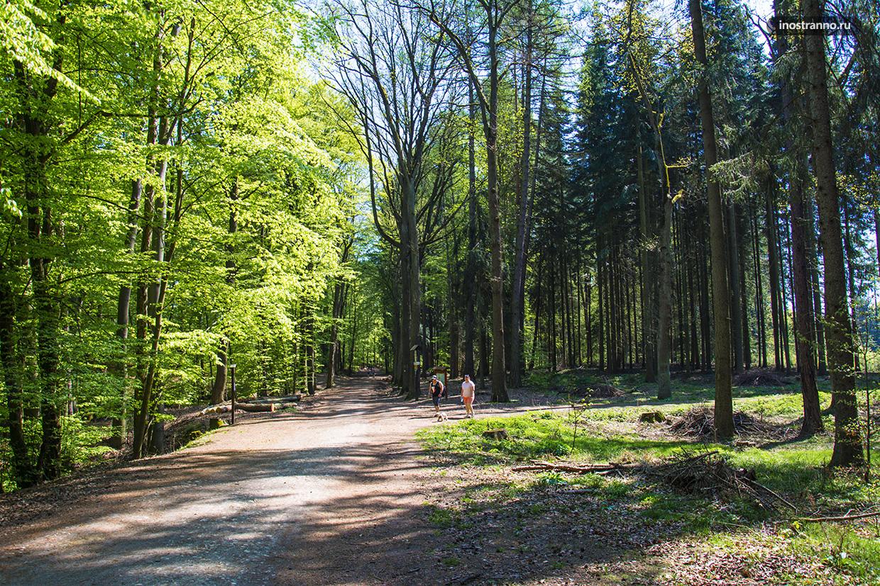Национальный парк Чешский рай
