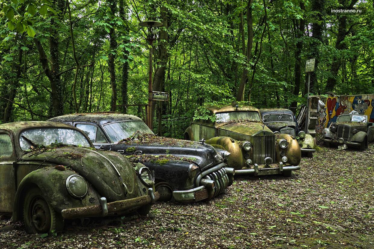 Лес в Шатильоне в Бельгии с кладбищем автомобилей