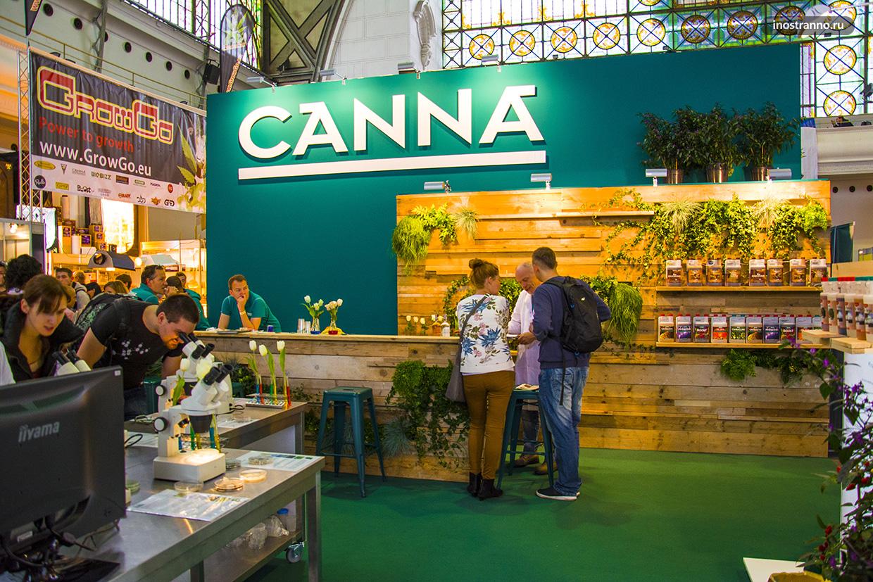 Выставка конопли в Праге чем заняться в ноябре