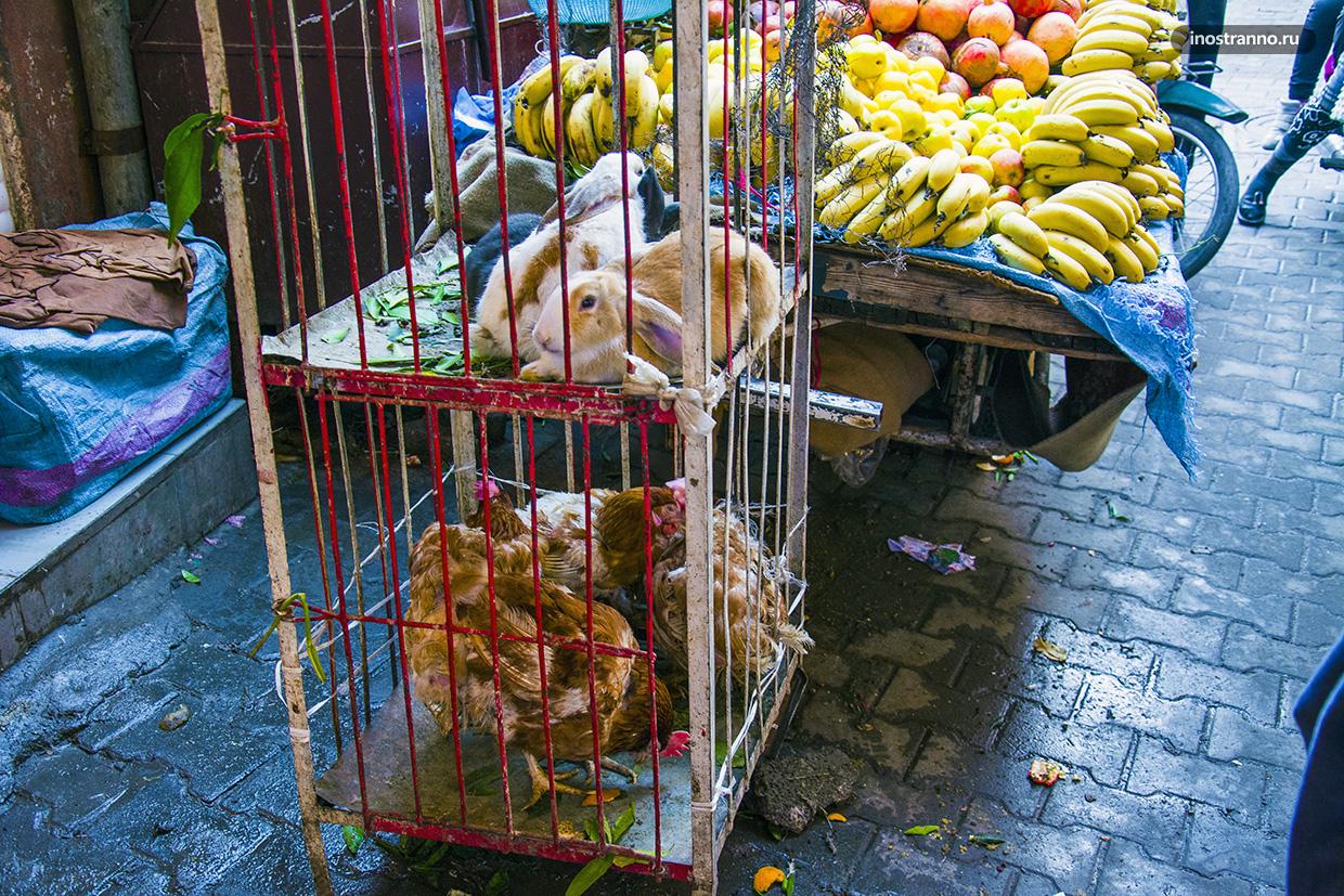 Мясо на рынке в Марракеше