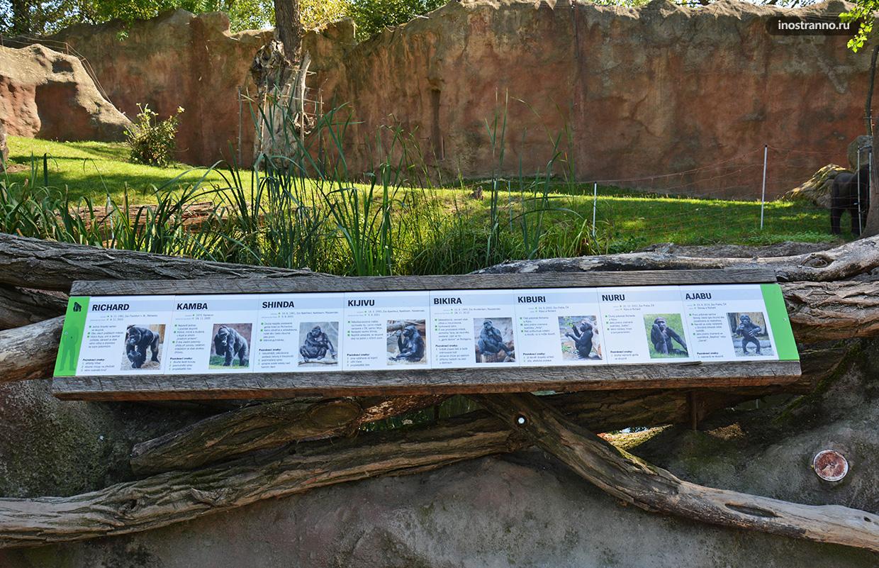 Информационные таблички в зоопарке