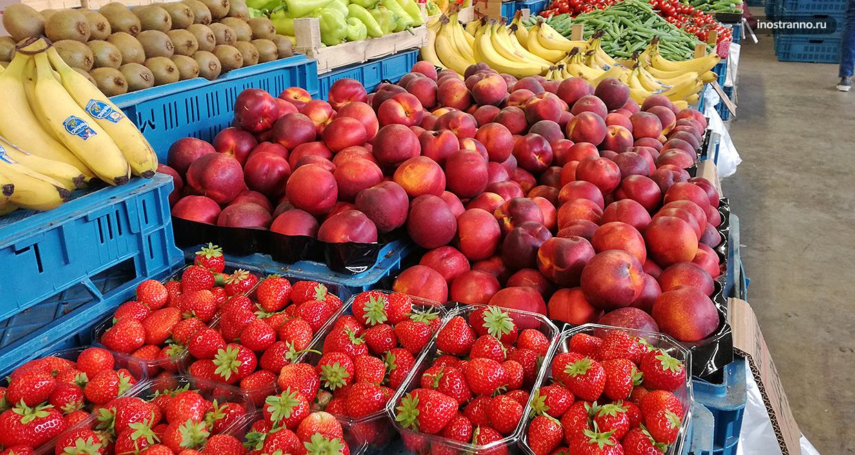 Сезон фруктов и овощей в Чехии Иностранно.ру