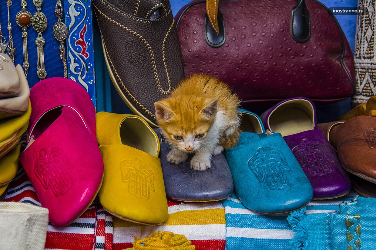 Марокканские тапочки бабуши и кот