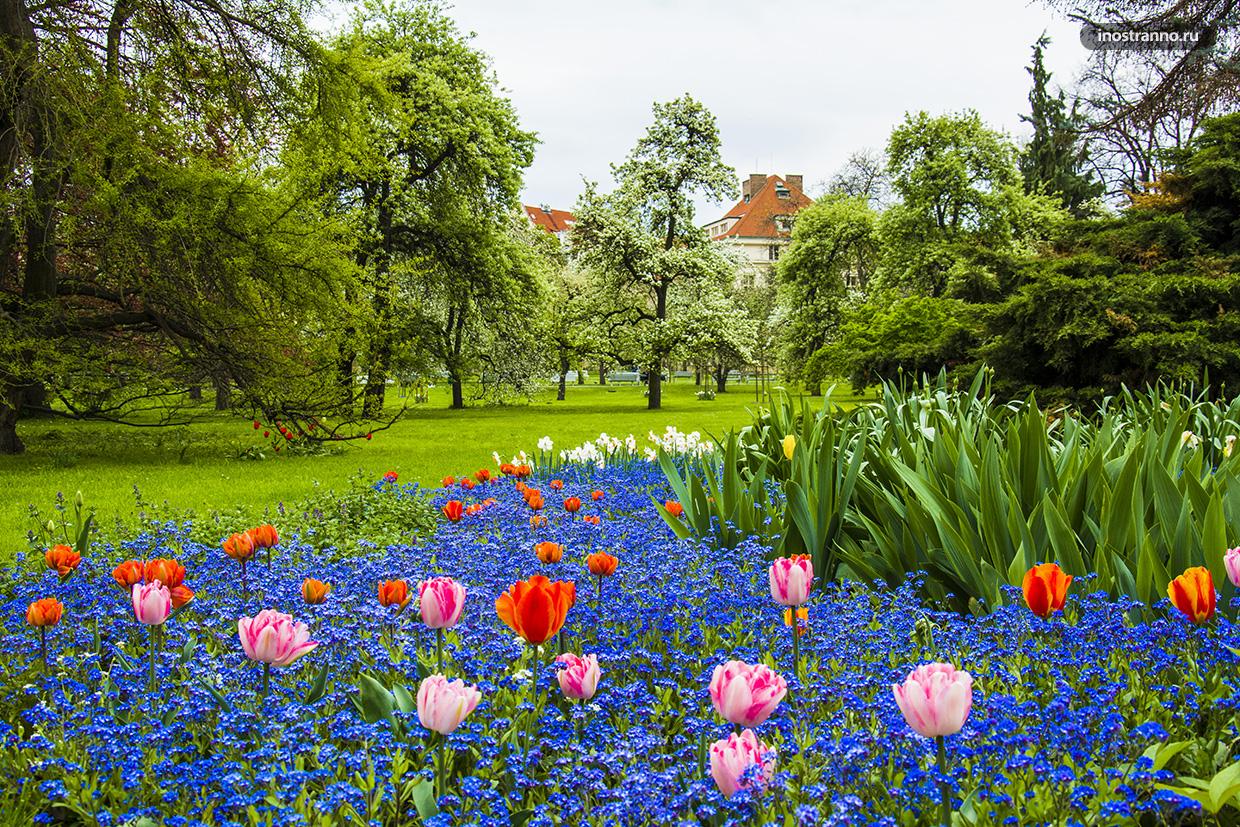 Парк с тюльпанами в Праге