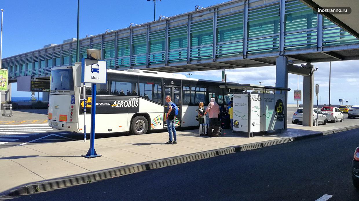 Автобус из аэропорта Мадейры как дешево добраться до города