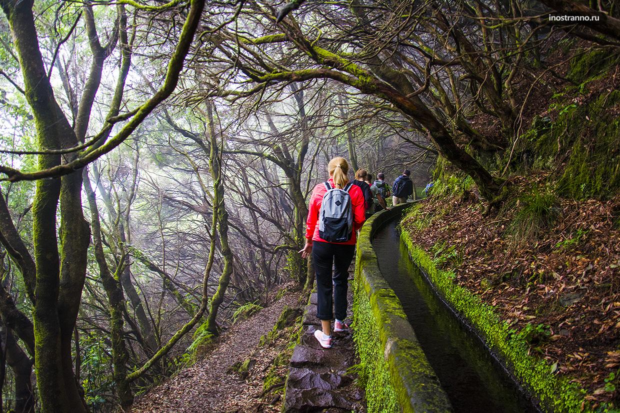 Прогулка по левадам на Мадейре