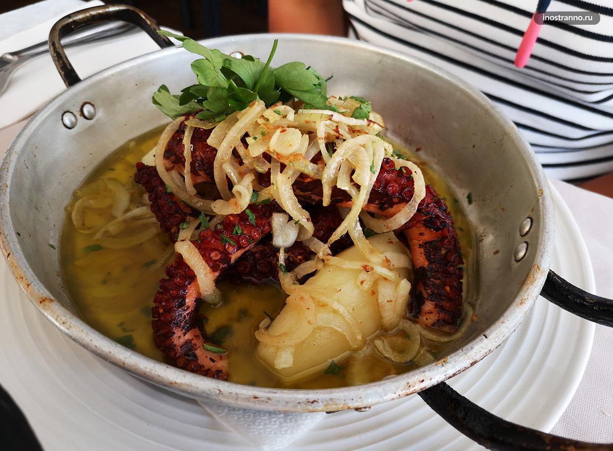 Блюдо из осьминога на Мадейре