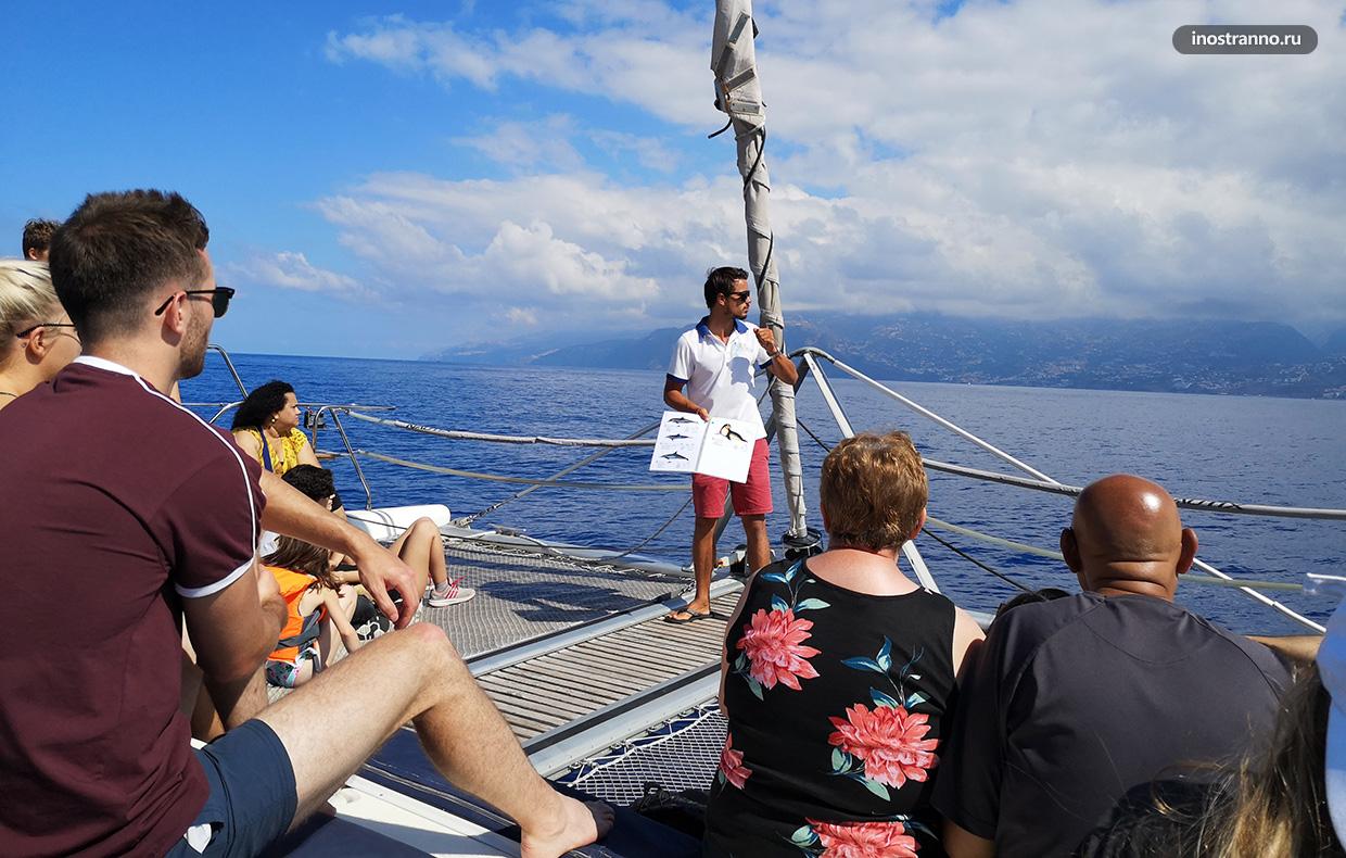 Морская прогулка на лодке в Фуншале