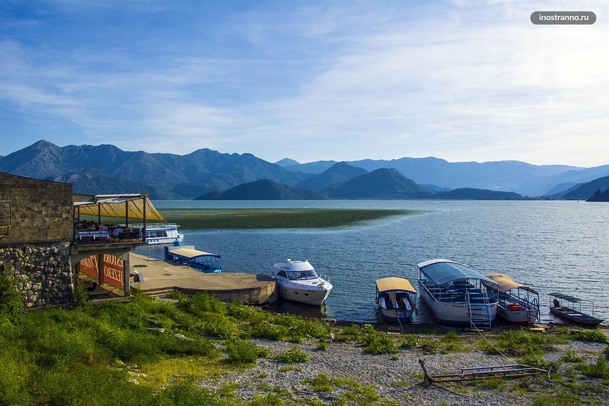 Скадарское озеро в Черногории