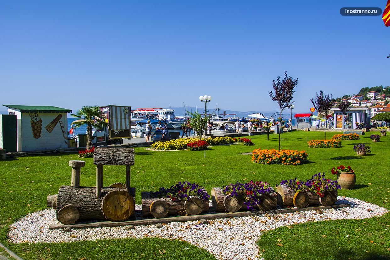 Цветы на берегу Охридского озера