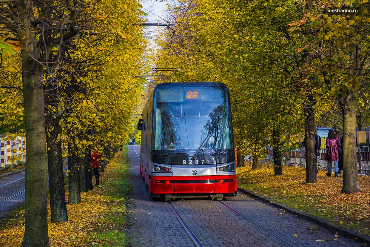 Трамвай №22 в Праге