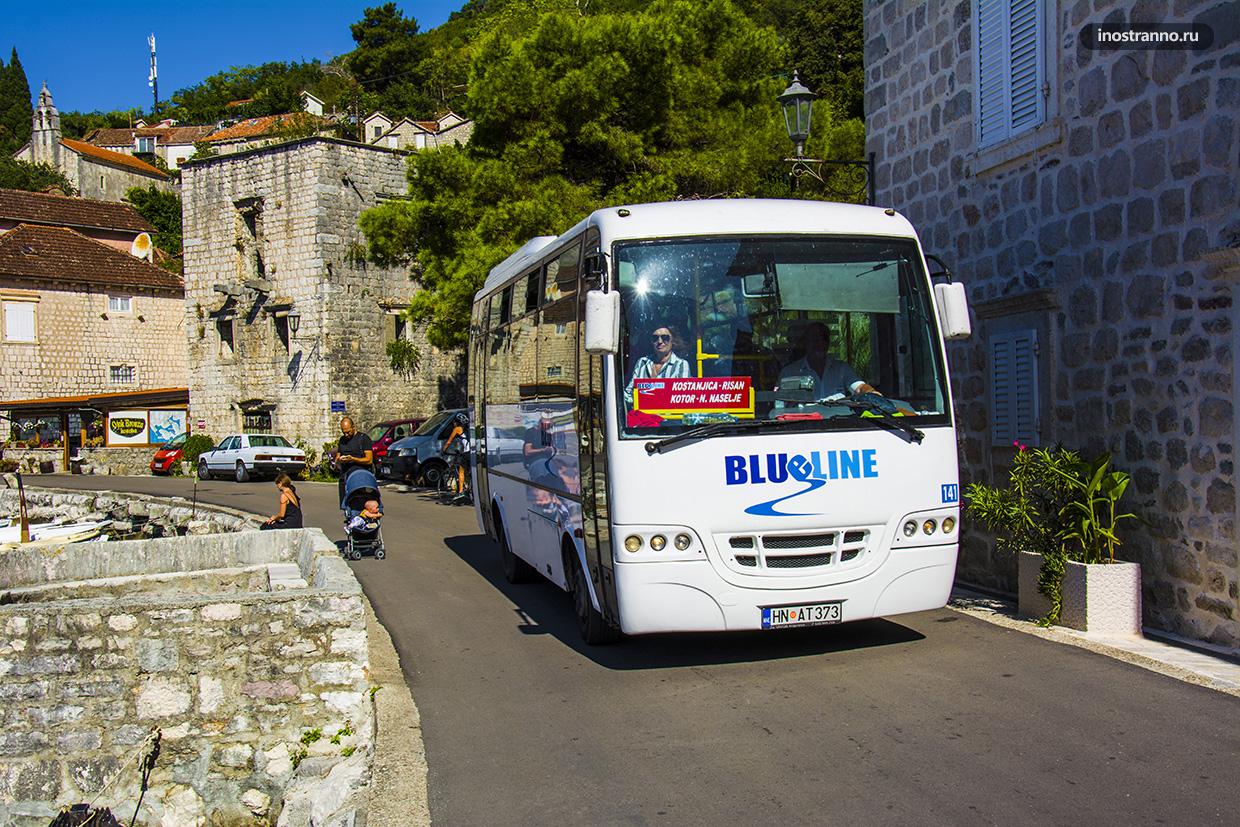 Междугородний автобус в Черногории