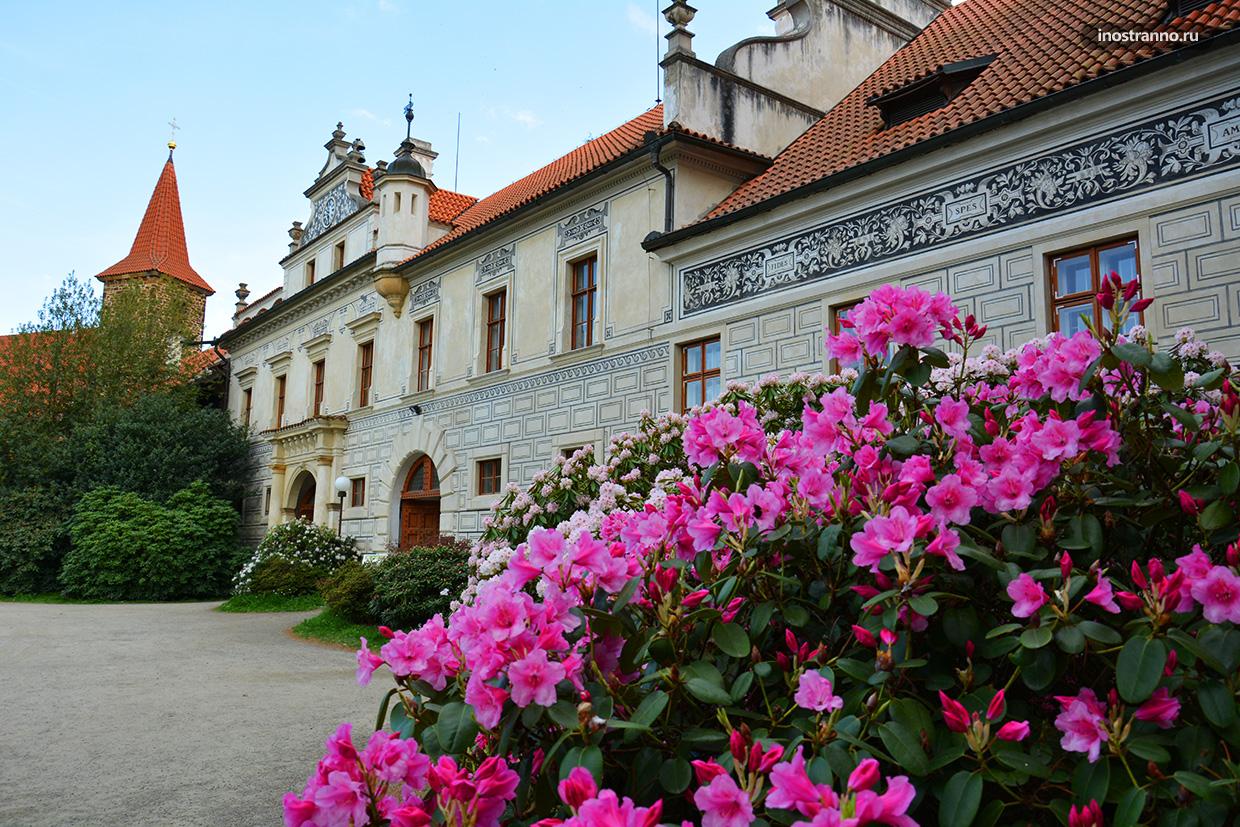 Замок Пругонице в Праге