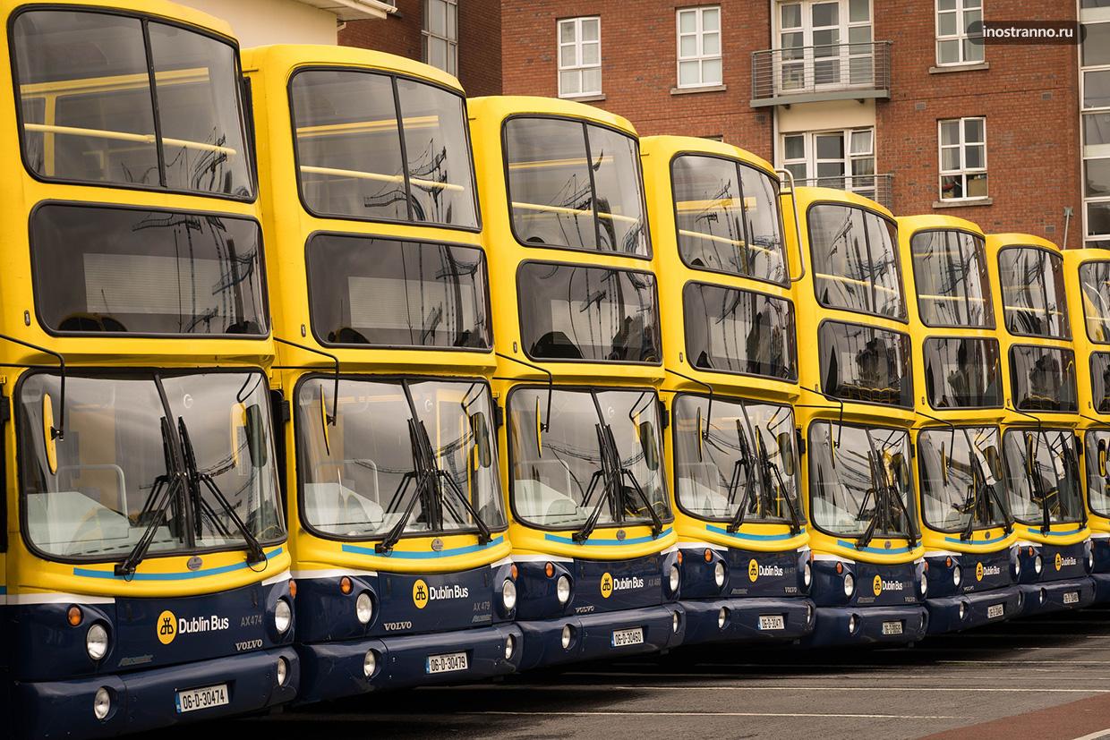 Автобусы в Дублине