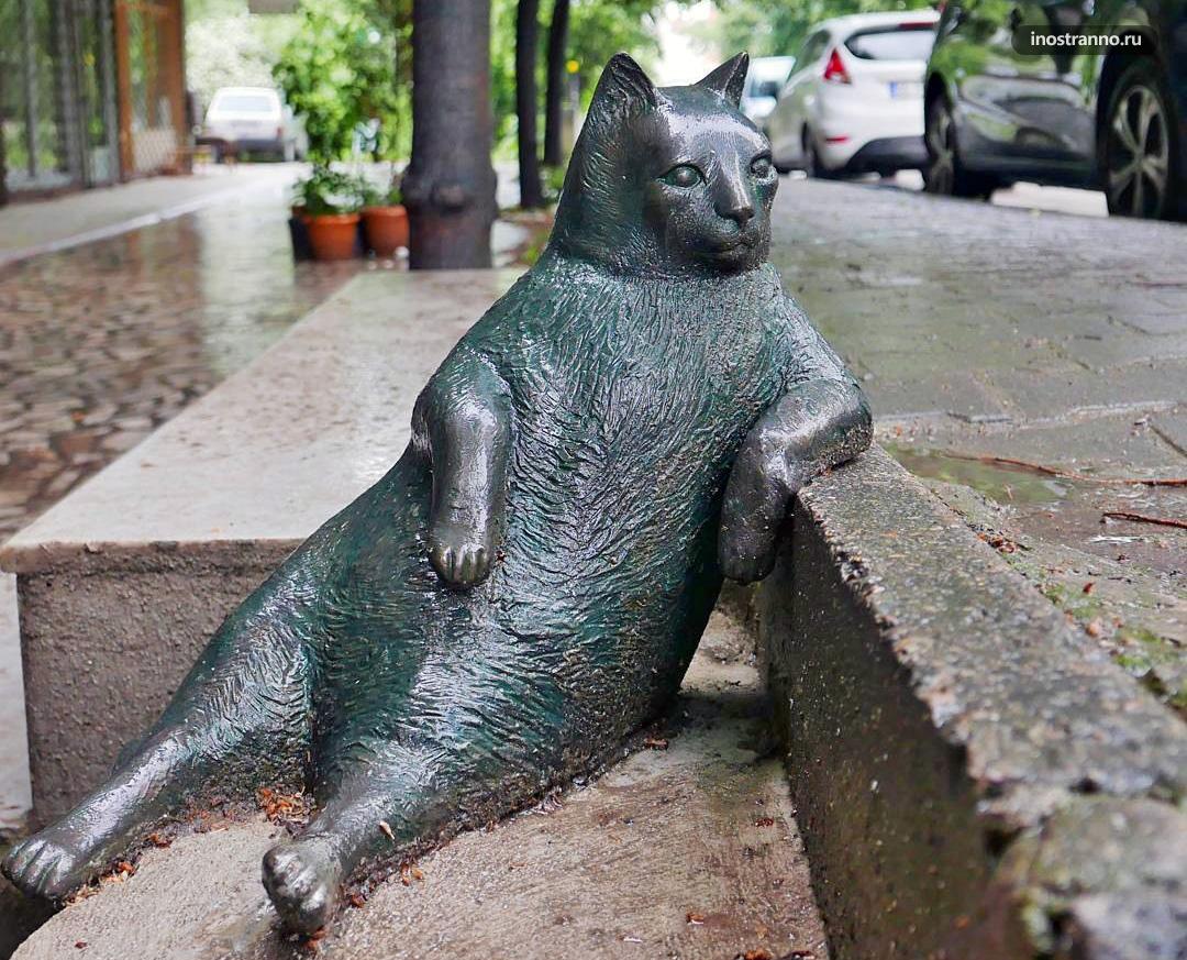 Памятник коту Томбили в Стамбуле
