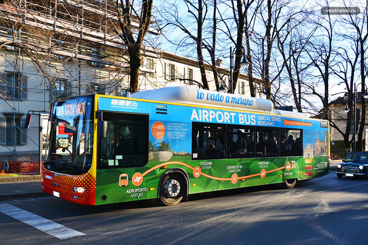 Автобус из аэропорта Бергамо до Милана