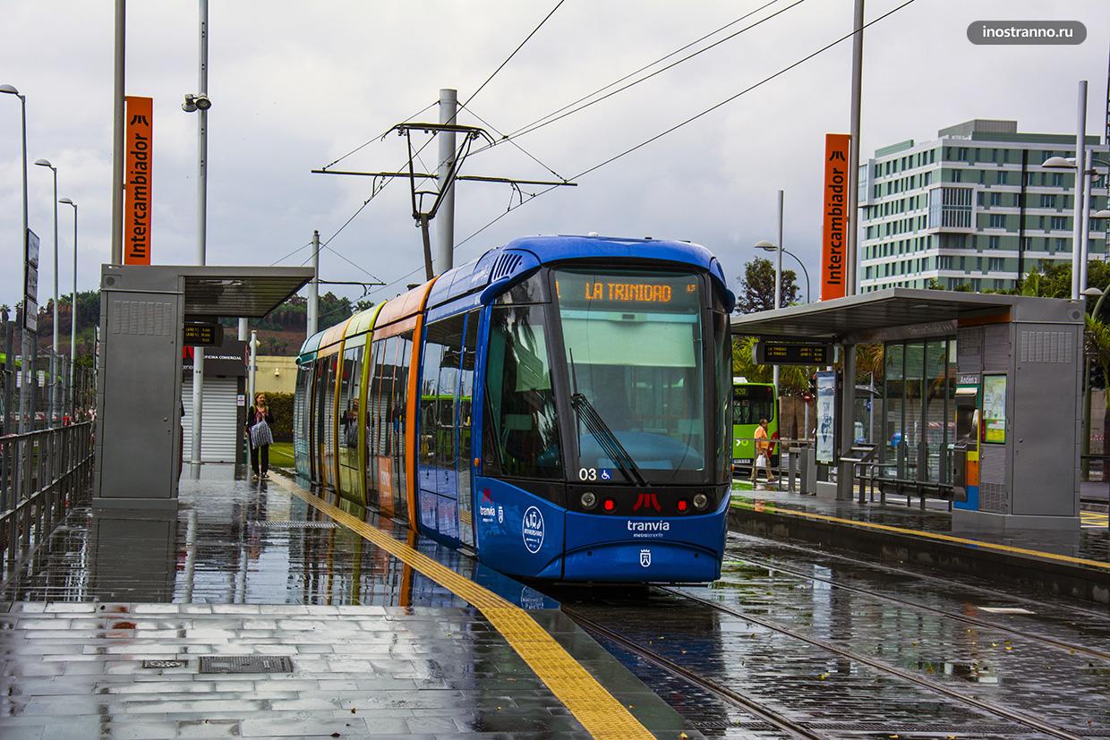 Трамвай Санта-Крус-де-Тенерифе