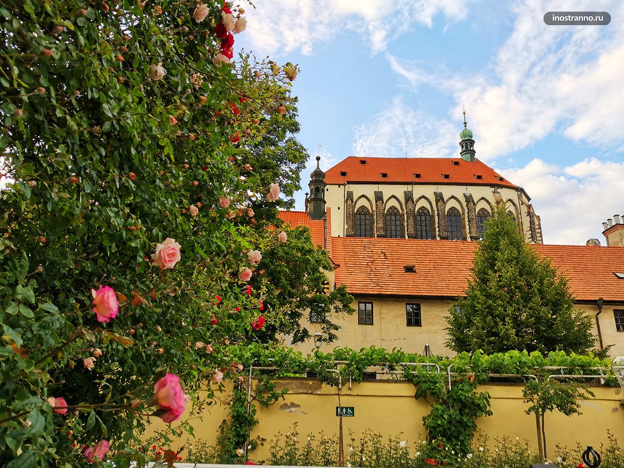 Что посетить в Праге - Францисканский сад