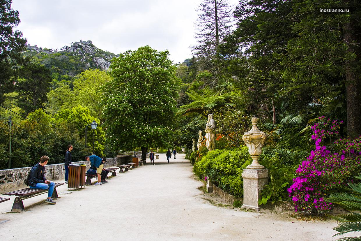Топ-7 достопримечательностей Синтры 43 Парк в Синтре весной