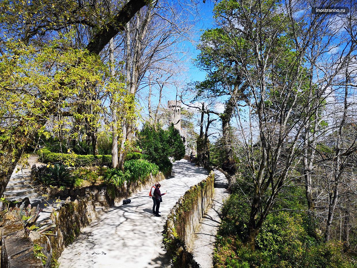 Топ-7 достопримечательностей Синтры 40 Природа Синтры