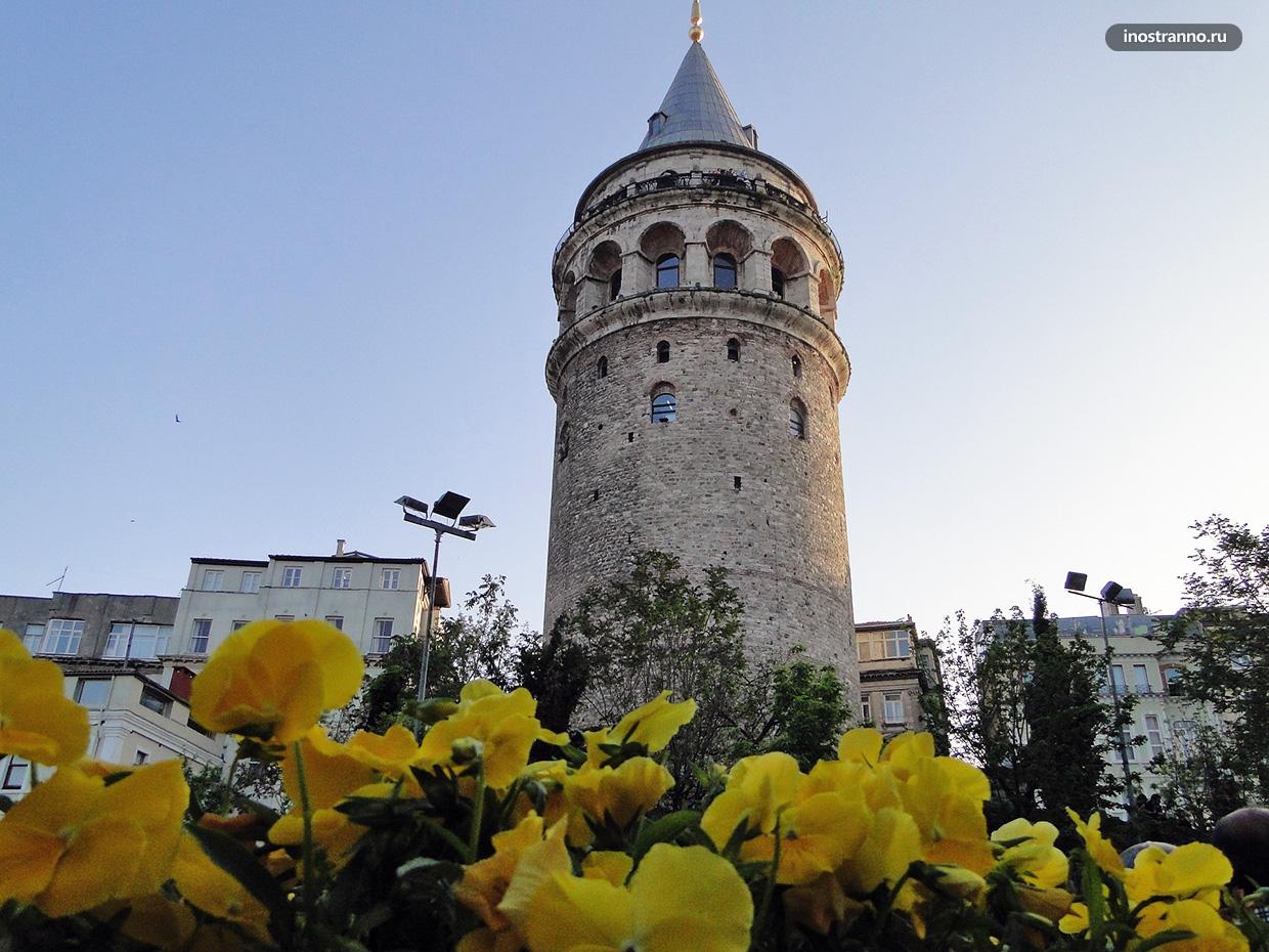 История тюльпанов в Стамбуле и Турции