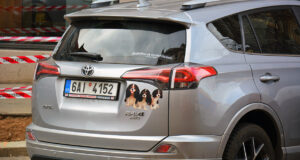 Автомобильные номера в Чехии