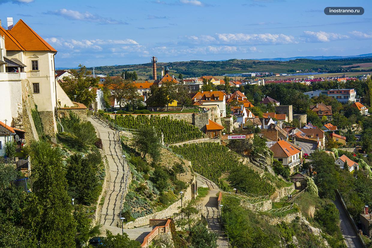 Винодельческий регион в Чехии