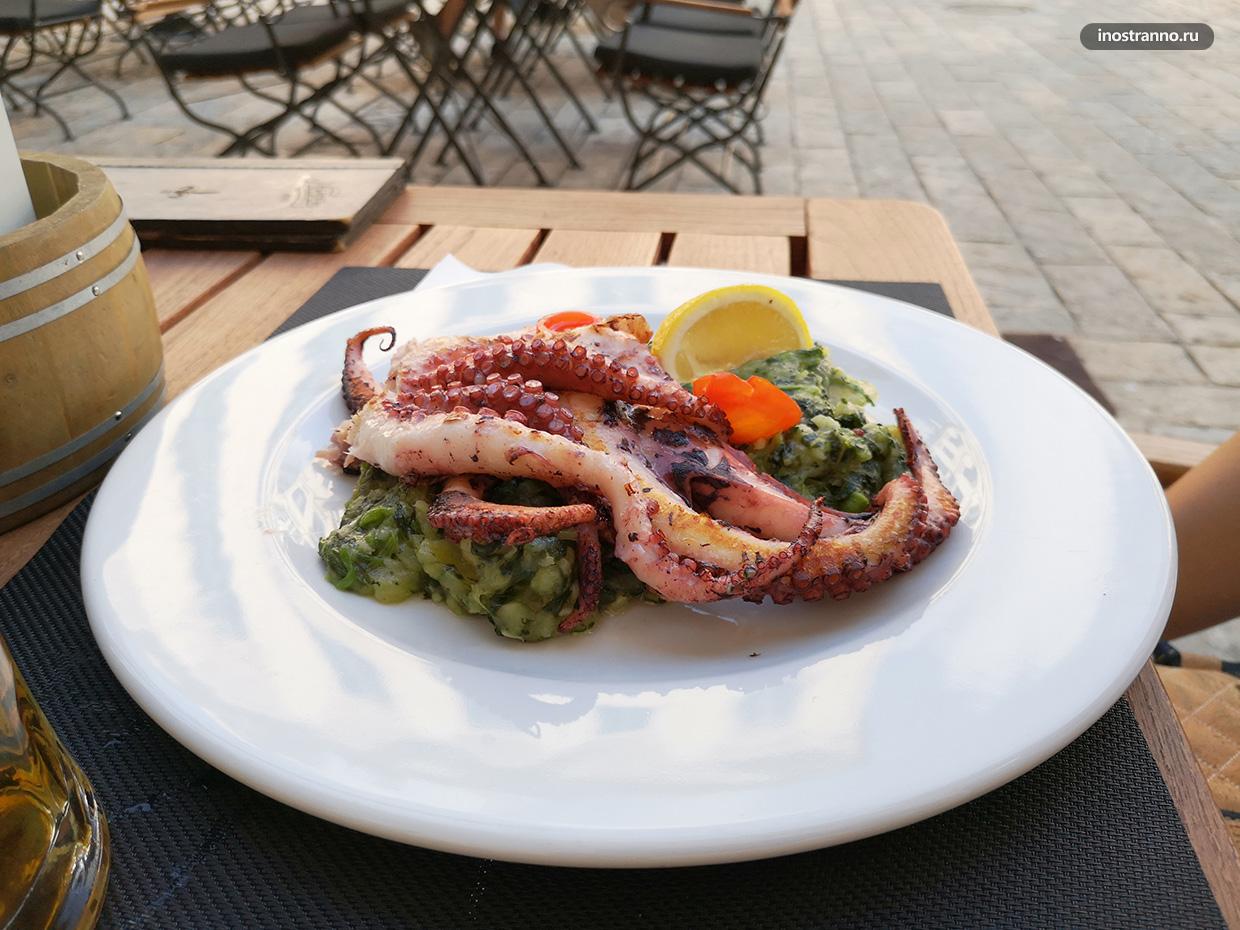 Морепродукты в ресторане в Черногории - осьминог