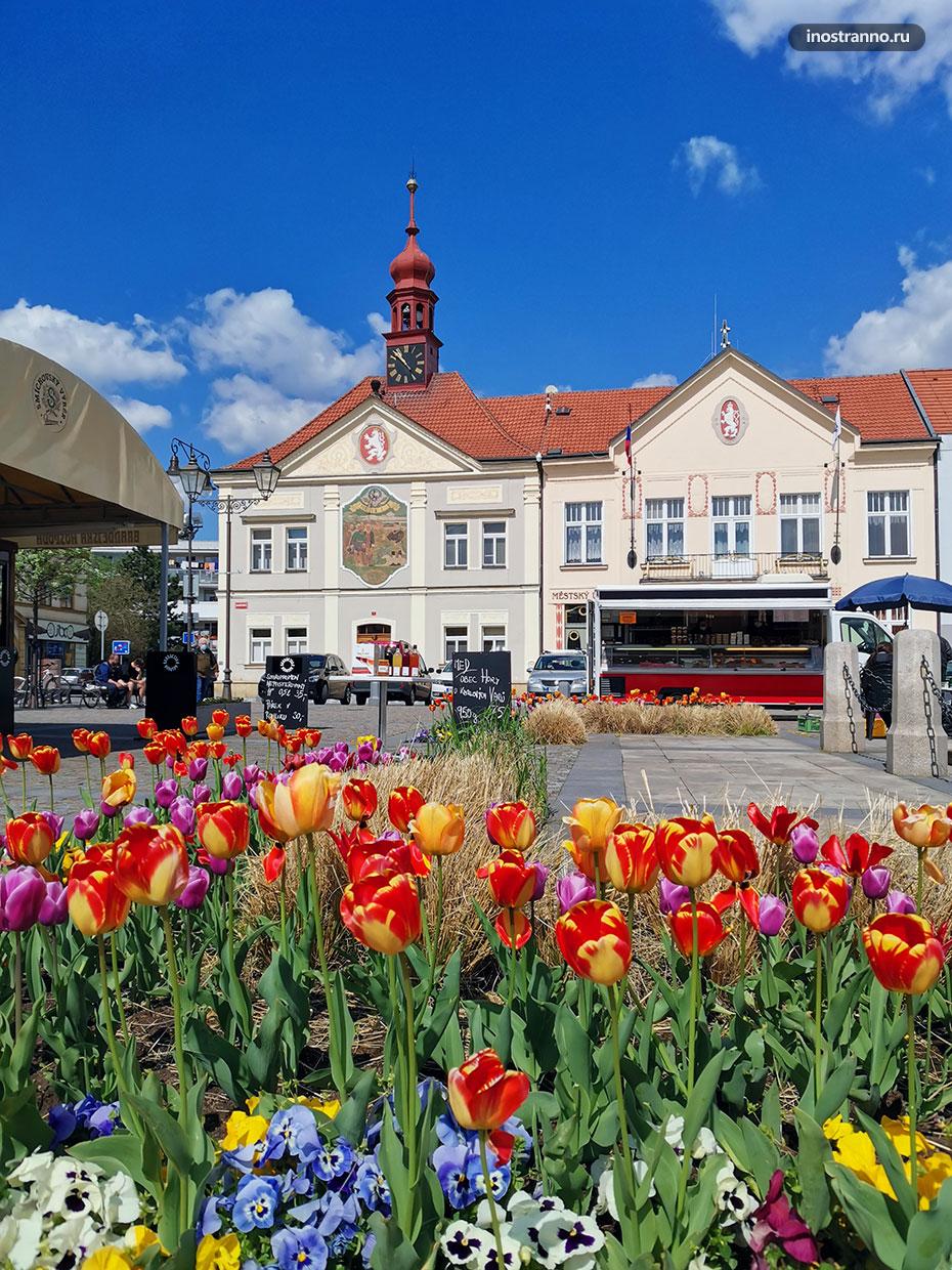 Живописная главная площадь в чешском городе