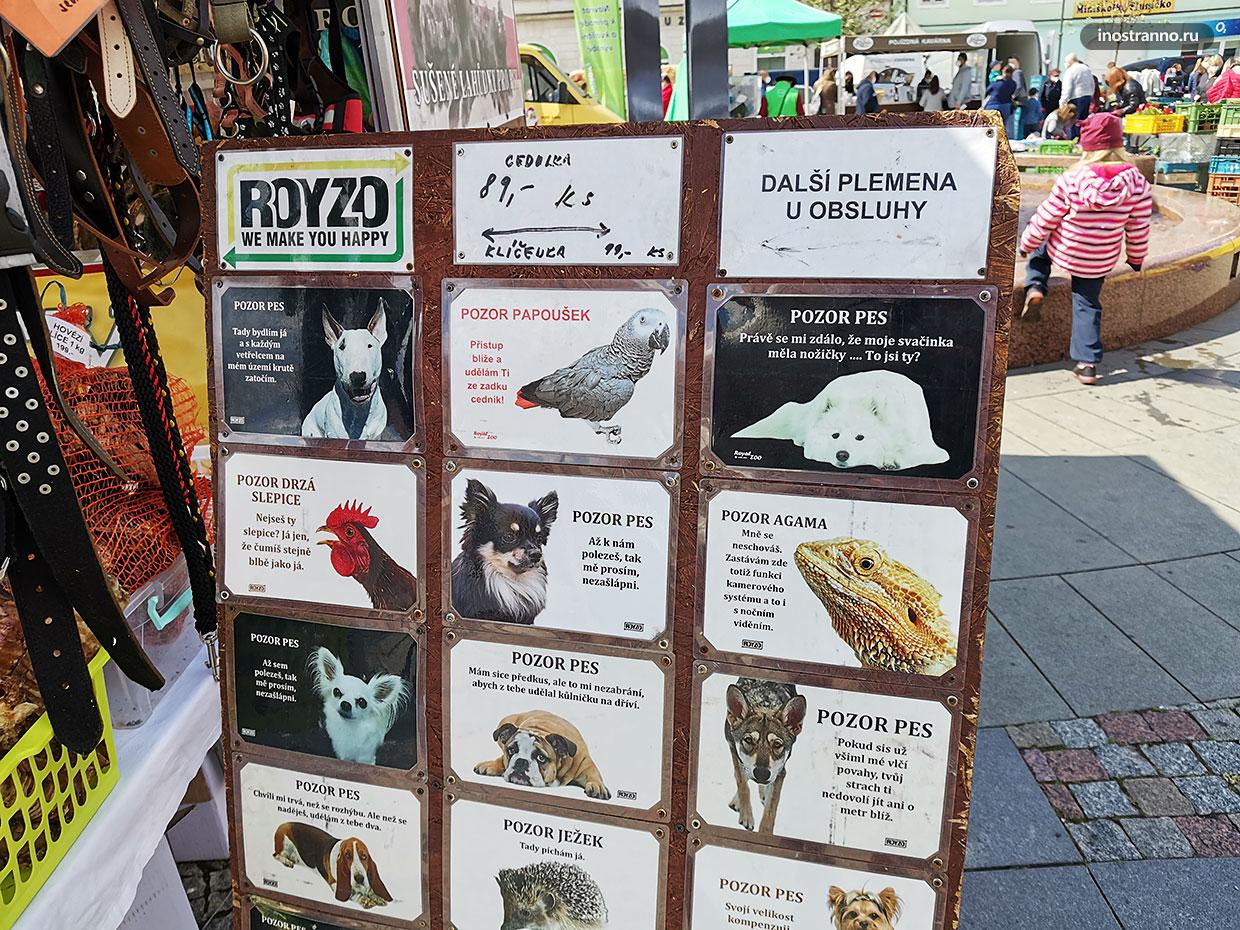 Сувениры для домашних животных